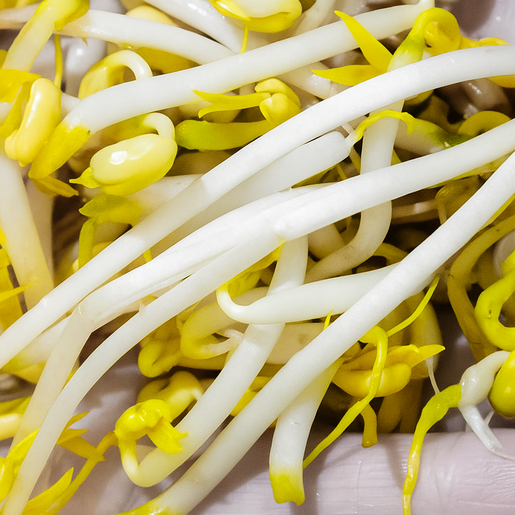 20250731 1156 Fresh Bean Sprouts remix 01k1g1yzqaewqvh4zah1ags1fw 1