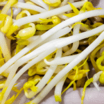 How to Sprout Mung Beans